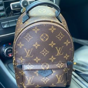 ❌SOLD❌ Authentic Louis Vuitton Palm Springs mini